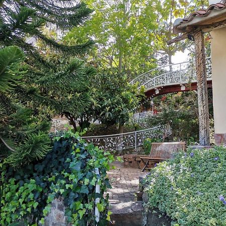 Bella Tierra Hotel Boutique تيباسوسا المظهر الخارجي الصورة